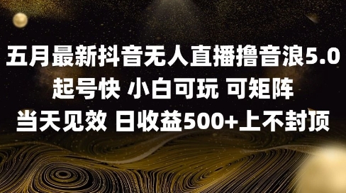 2025五月最新无人直播撸音浪单日产出5张+实操教程【揭秘】-创领云聚
