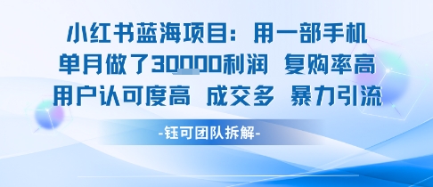 小红书蓝海项目，一部手机单月做了3W利润，小白也能月入过1W用户认可度高成交多-创领云聚