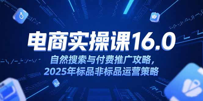 淘宝电商运营课16.0，自然搜索与付费推广攻略，2025年标品非标品运营策略-创领云聚