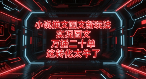 小说推文图文新玩法，实况图文，万播二十单，这转化太牛了！-创领云聚