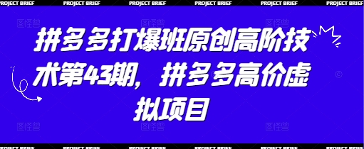 拼多多打爆班原创高阶技术第43期，拼多多高价虚拟项目-创领云聚
