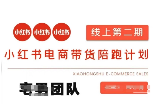 小红书电商带货课2期，月利润20个的小红书电商的有货源，无货源，虚拟产品，付费投流等整套玩法-创领云聚