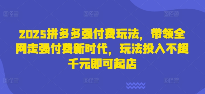 2025拼多多强付费玩法，带领全网走强付费新时代，玩法投入不超千元即可起店-创领云聚