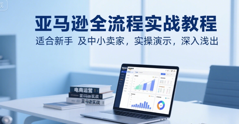 亚马逊全流程实战教程，适合新手及中小卖家，实操演示，深入浅出-创领云聚