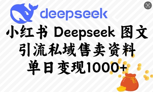 小红书Deepseek图文引流私域售卖资料，单日变现多张-创领云聚