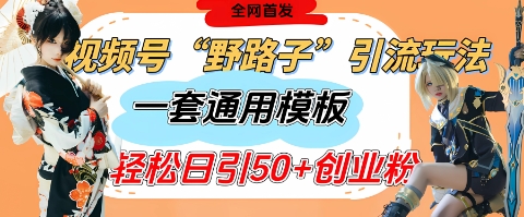 视频号“野路子”玩法，评论区疯狂截流，一套模板单日单号引流50+创业粉-创领云聚