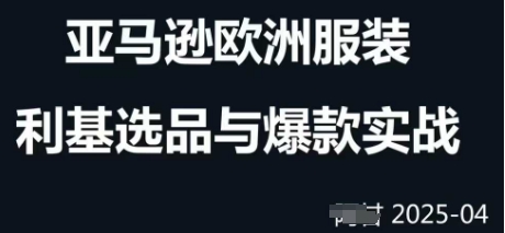 跨境电商选品案例24-25年，聚焦跨境电商选品策略与运营优化，助力卖家挖掘蓝海市场-创领云聚
