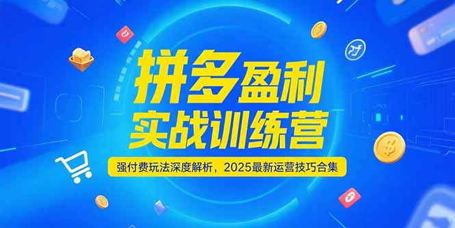 拼多多盈利实战训练营，强付费玩法深度解析，2025运营技巧合集-更新6月-创领云聚