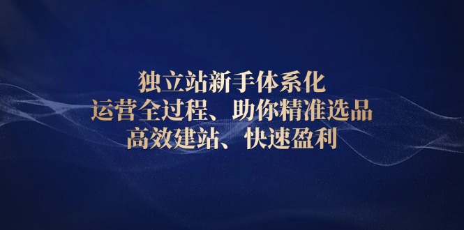 独立站新手体系化 运营全过程，助你精准选品、高效建站、快速盈利-创领云聚