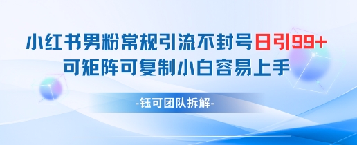 小红书男粉常规引流不封号日引99+变现简单 可矩阵可复制小白容易上手-创领云聚