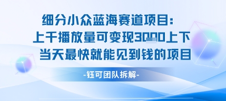 小众蓝海赛道项目：当天变现1k+适合新手操作 +适合长期玩-创领云聚