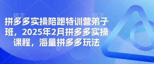 拼多多实操陪跑特训营弟子班，2025年2月拼多多实操课程，海量拼多多玩法-创领云聚