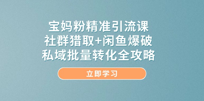 宝妈粉精准引流课，社群猎取+闲鱼爆破，私域批量转化全攻略-创领云聚
