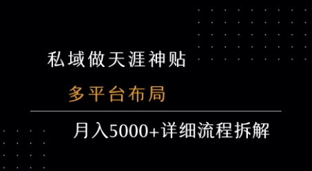 私域做天涯神贴 多平台布局 月入5k+详细流程拆解-创领云聚