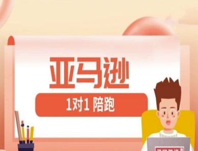 亚马逊1对1陪跑课(FBA/FBM精铺)跨境亚马逊教程-创领云聚