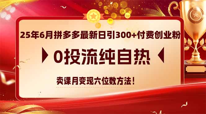 25年6月拼多多最新日引300+付费创业粉，0投流纯自热 卖课月变现六位数方法-创领云聚