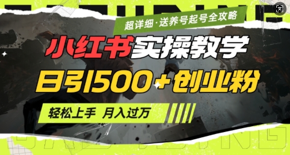 2月小红书最新日引500+创业粉实操教学【超详细】小白轻松上手，月入1W+，附小红书养号起号SOP-创领云聚