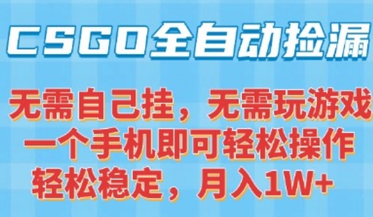 CSGO自动捡漏项目，最新独家玩法，一个手机可操作，新手小白轻松月入1W+，操作简单易上手【揭秘】-创领云聚