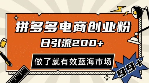 拼多多引流电商创业粉，日引200+，可矩阵放大，做了就有效【揭秘】-创领云聚