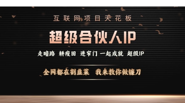 互联网项目天花板，超级合伙人IP，全网都在割韭菜，我来教你做镰刀【仅揭秘】-创领云聚