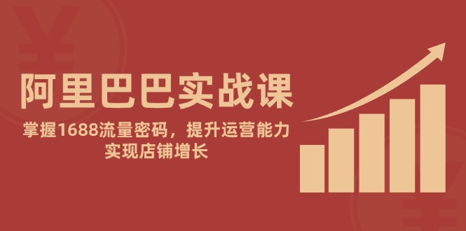 阿里巴巴实战课：掌握1688流量密码，提升运营能力，实现店铺增长-创领云聚