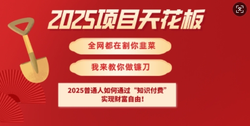 2025项目天花板普通人如何通过知识付费，实现财F自由【揭秘】-创领云聚