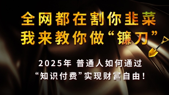 全网都在割你韭菜，我来教你做镰刀，2025普通人如何通过知识付费，实现财F自由【揭秘】-创领云聚