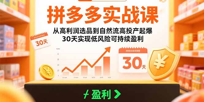 拼多多实战课：从高利润选品到自然流高投产起爆 30天实现低风险可持续盈利-创领云聚
