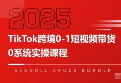 大亿老师·TikTok跨境0-1短视频带货-创领云聚