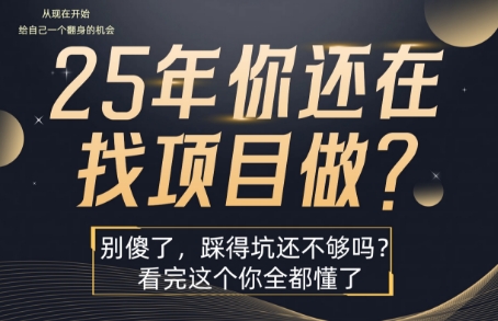 25年，你还在疯狂的找项目吗？别傻了，看完这个你都懂了【揭秘】-创领云聚