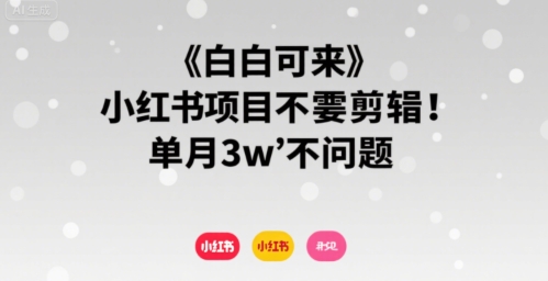 小白可来 小红书项目不需要剪辑 单月3w不是问题-创领云聚
