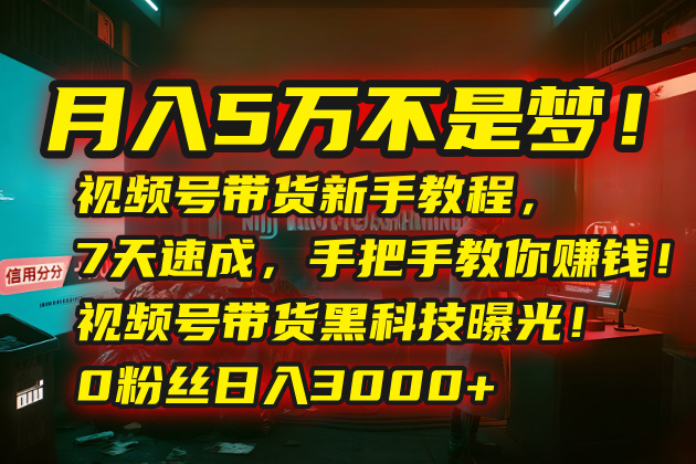 月入5万不是梦！视频号带货新手教程，7天速成，手把手教你赚钱！视频号…-创领云聚