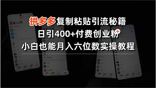 拼多多复制粘贴引流秘籍，日引400+付费创业粉，小白也能月入六位数实操…-创领云聚