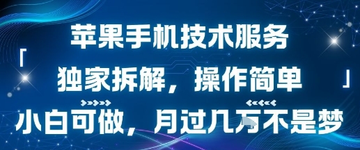 苹果手机技术服务，独家拆解，操作简单，小白可做，月过1W不是梦-创领云聚