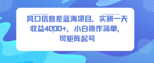 风口信息差蓝海项目，实测一天收益4k+，小白操作简单，可矩阵起号-创领云聚