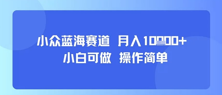 小众蓝海赛道，小白可做，操作简单，每天30分钟，月入1W+-创领云聚