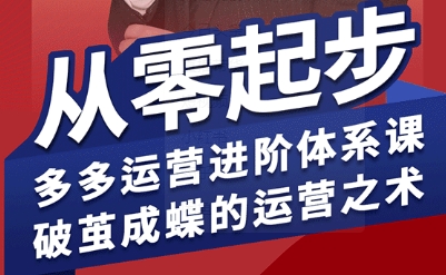 拼多多运营进阶系统课，从零起步，多多运营进阶体系课，破茧成蝶的运营之术-创领云聚