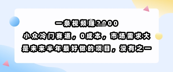 一条视频挣1k，小众冷门赛道，0成本，市场需求大，是未来半年最好做的项目，没有之一-创领云聚