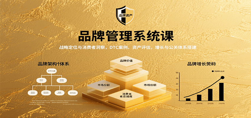品牌管理系统课：战略定位与消费者洞察，DTC案例、资产评估，增长与公关体系搭建-创领云聚