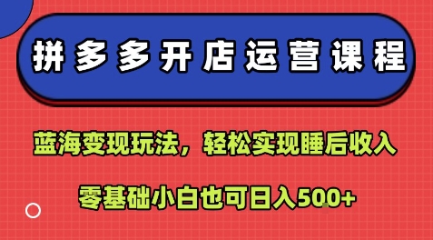 拼多多开店运营课程：蓝海变现玩法，轻松实现睡后收入，零基础小白也可日入5张-创领云聚