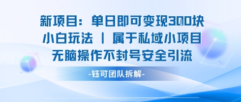 新项目单日即可变现3张的小白玩法无脑操作不封号安全引流-创领云聚