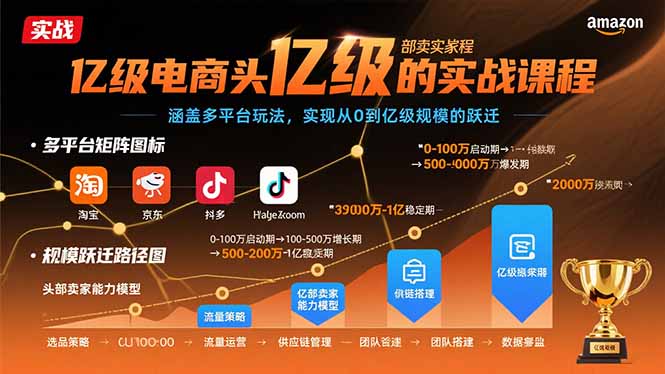 亿级电商头部卖家的实战课程：涵盖多平台玩法，实现从0到亿级规模的跃迁-创领云聚