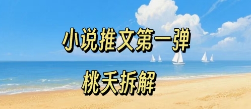 小说推文项目操作全流程第一弹，0粉就能做，门槛低非常适合新手-创领云聚
