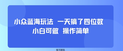 小众蓝海玩法 一天搞了四位数 小白可做 操作简单-创领云聚