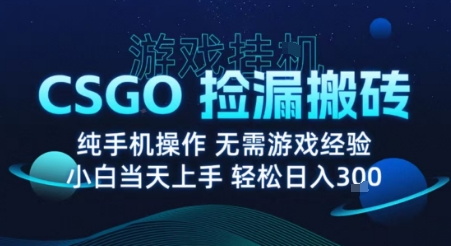 8月最新游戏搬砖，CSGO纯挂G，不需要玩游戏，实现真挂G，月入1W+【揭秘】-创领云聚