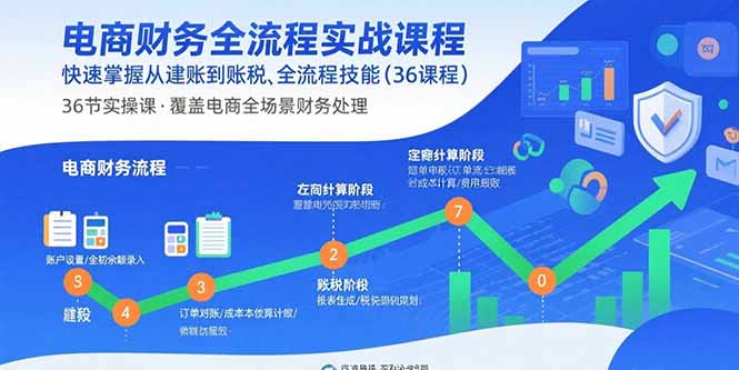 电商财务全流程实战课程：快速掌握从建账到报税的全流程技能(36节课-创领云聚