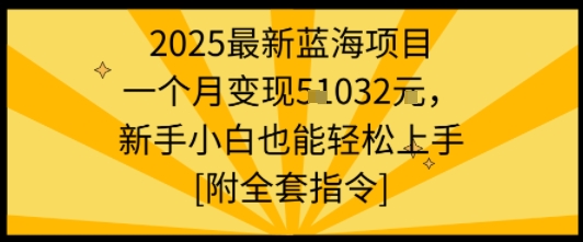 2025最新蓝海项目一个月变现1w+新手小白也能轻松上手【附全套指令】-创领云聚