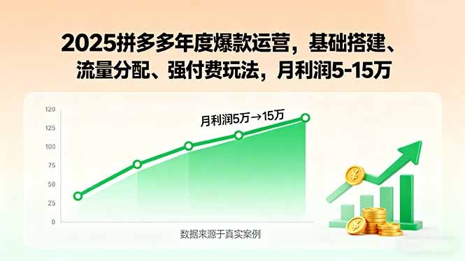2025拼多多年度爆款运营，基础搭建、流量分配、强付费玩法，月利润5-15万-创领云聚