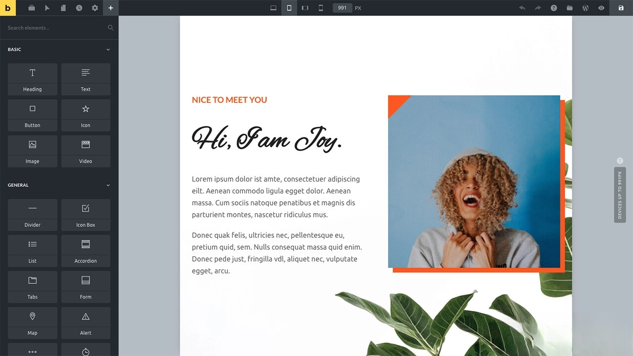WordPress主题Bricks v1.9 破解版-创领云聚