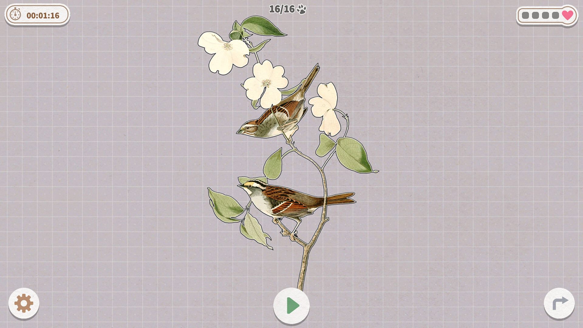 《挤在一起的鸟鸟/Birds Huddled Together》PC中文版下载-含Build.14298719-创领云聚